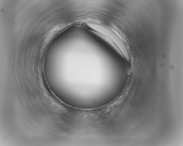 X0000088610193200706151835