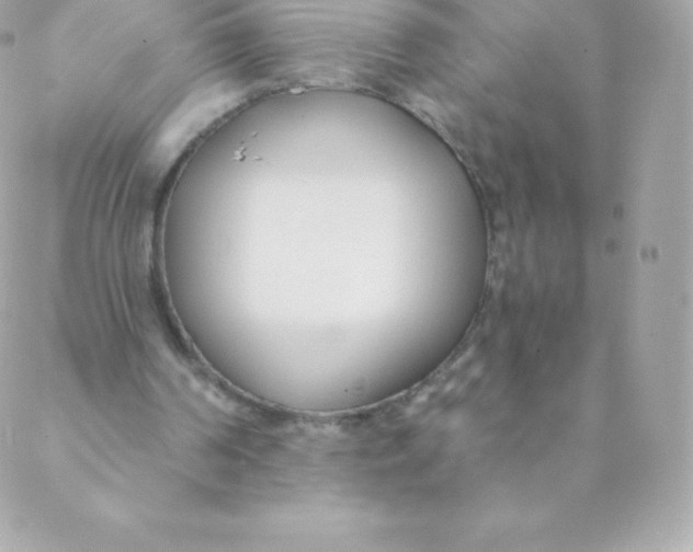 X0000088610194200706151835