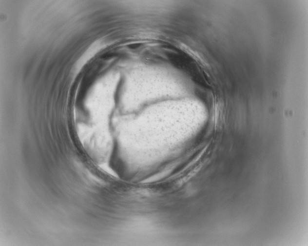 X0000088610195200706151835