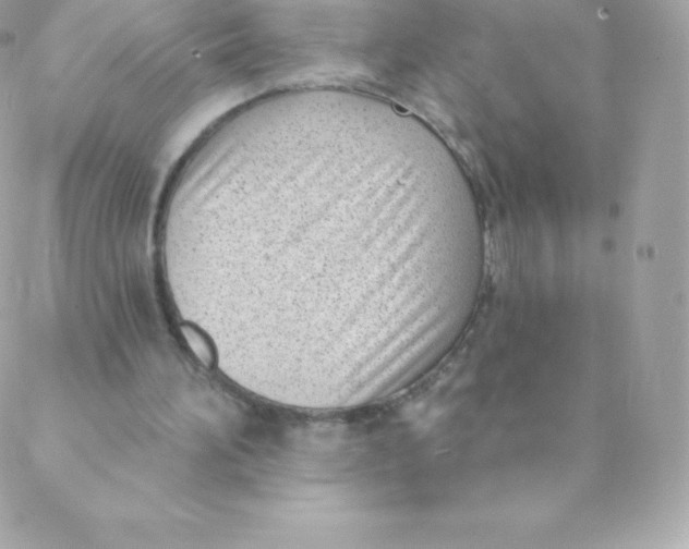 X0000088610196200706151835