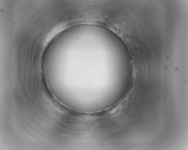 X0000088610198200706151835