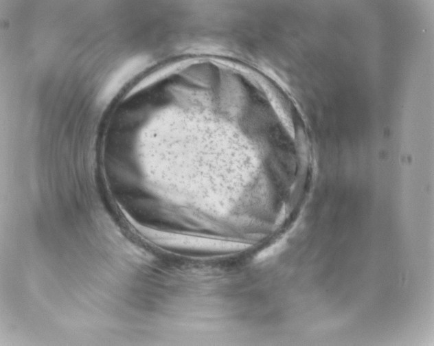 X0000088610199200706151835