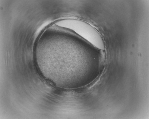 X0000088610200200706151835