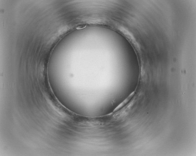 X0000088610201200706151835