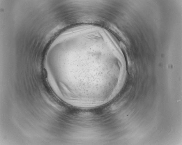 X0000088610203200706151835