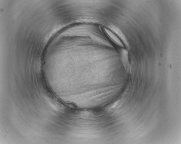 X0000088610204200706151835