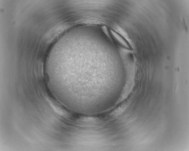 X0000088610205200706151835