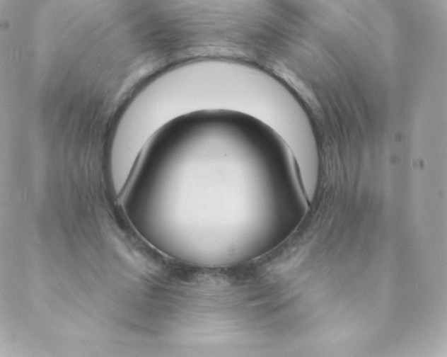 X0000088610207200706151835