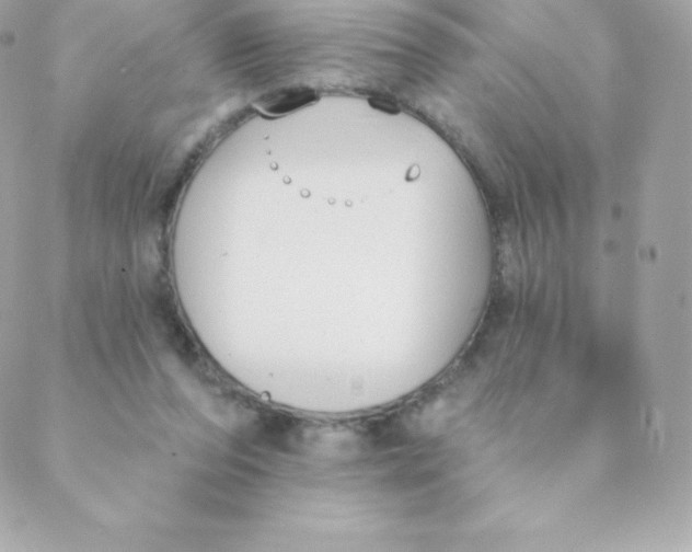 X0000088610208200706151835