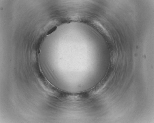 X0000088610213200706151835