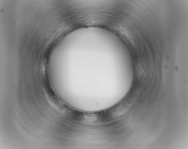 X0000088610214200706151835