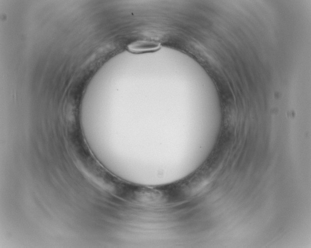 X0000088610215200706151835