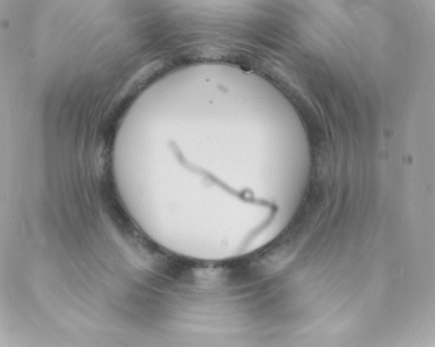 X0000088610216200706151835