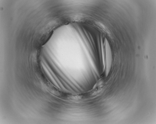 X0000088610217200706151835