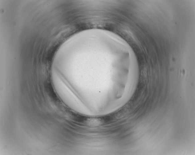 X0000088610218200706151835