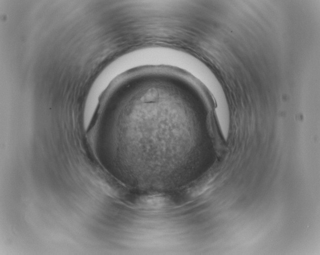 X0000088610219200706151835