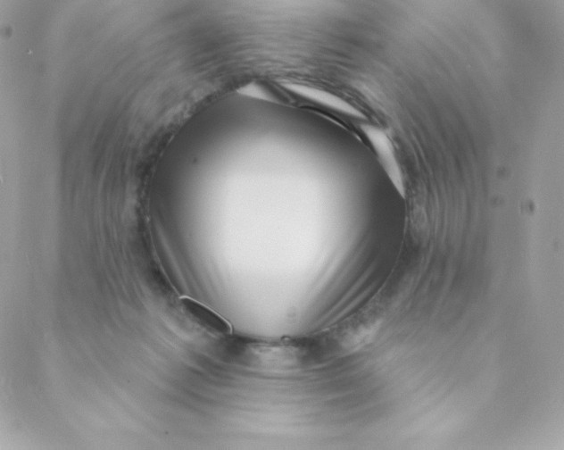 X0000088610221200706151835