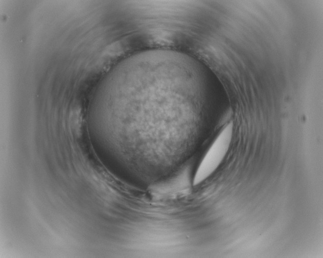 X0000088610223200706151835