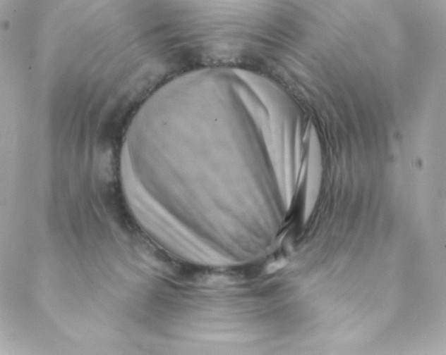 X0000088610224200706151835