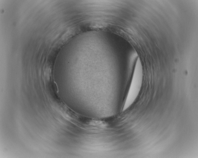 X0000088610227200706151835