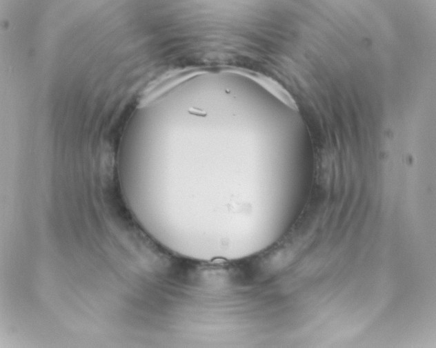 X0000088610228200706151835