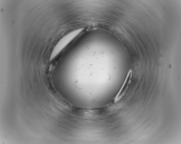 X0000088610229200706151835