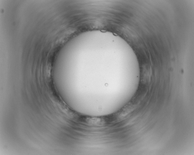 X0000088610230200706151835