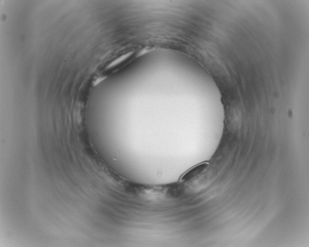 X0000088610232200706151835