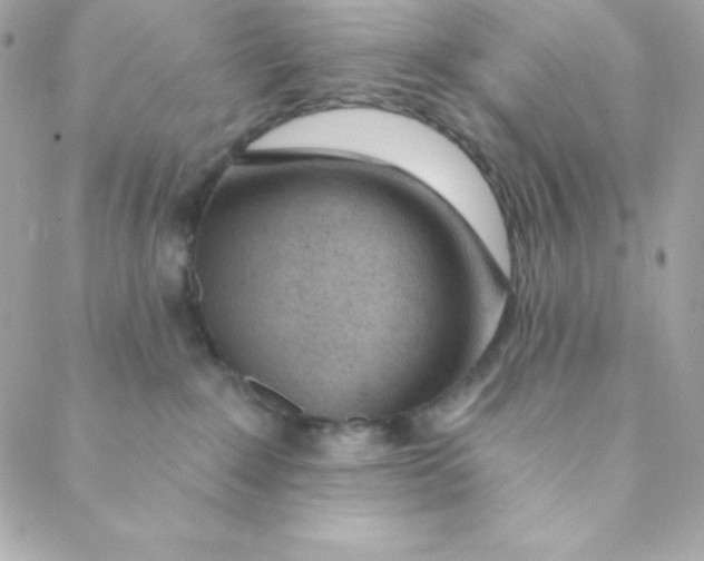 X0000088610235200706151835