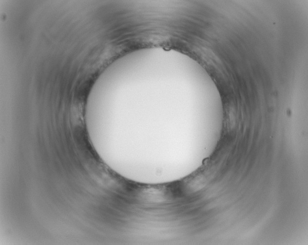 X0000088610236200706151835