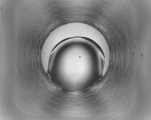 X0000088610237200706151835