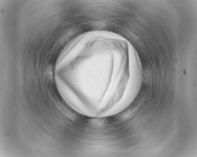 X0000088610238200706151835