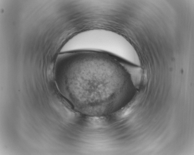 X0000088610239200706151835