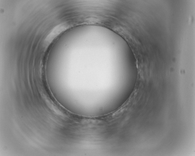 X0000088610242200706151834