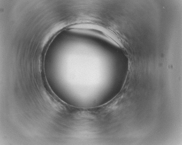 X0000088610244200706151834