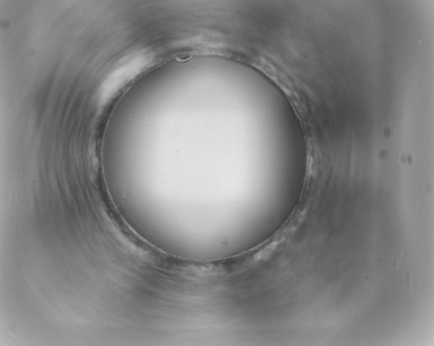 X0000088610245200706151834