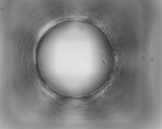 X0000088610246200706151834