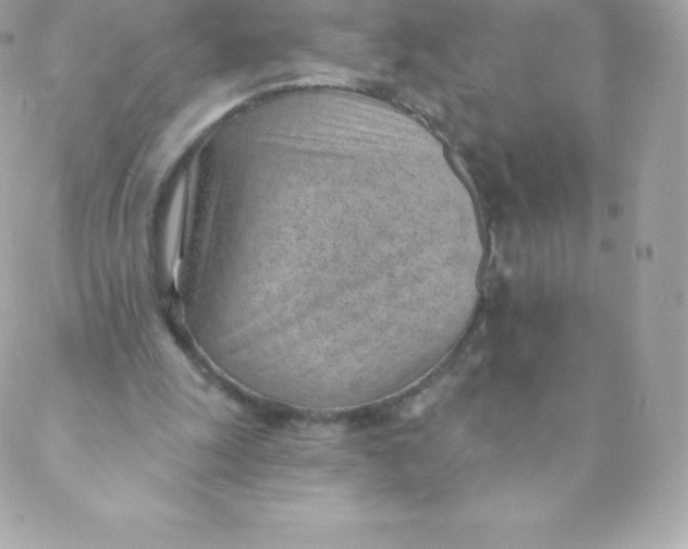 X0000088610247200706151834