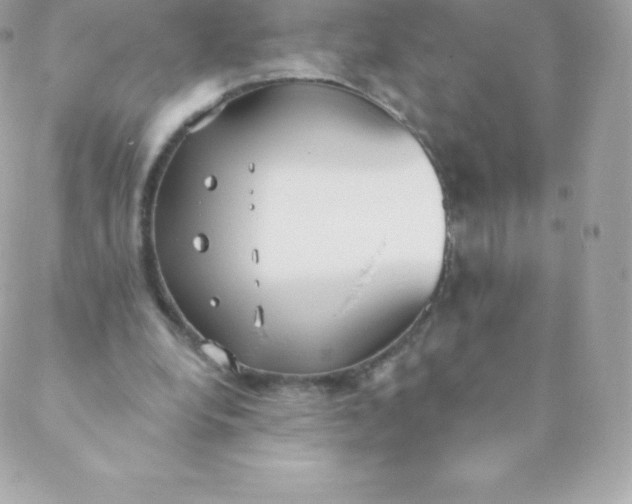 X0000088610248200706151834