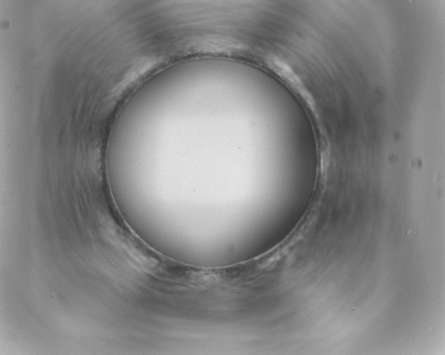 X0000088610249200706151834