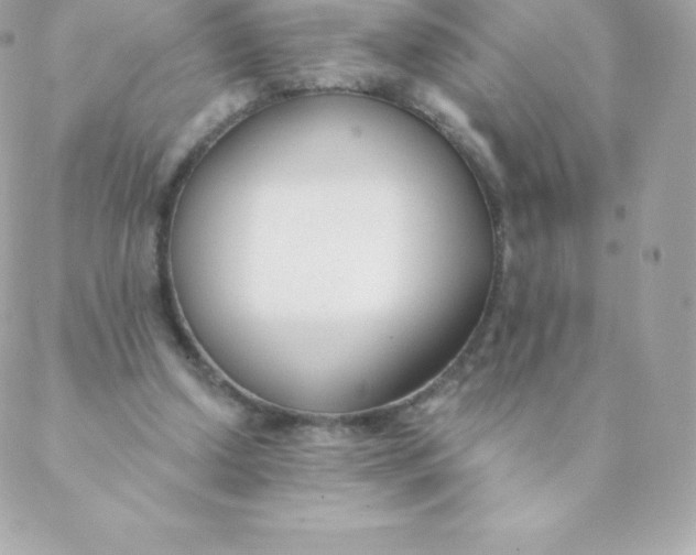 X0000088610250200706151834