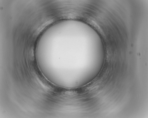 X0000088610251200706151834