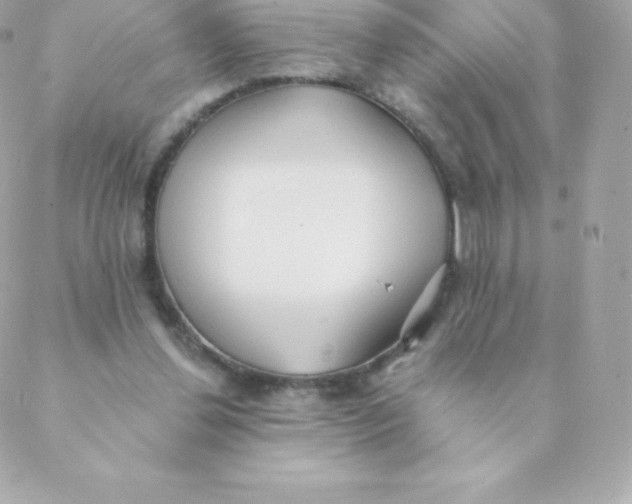 X0000088610252200706151834