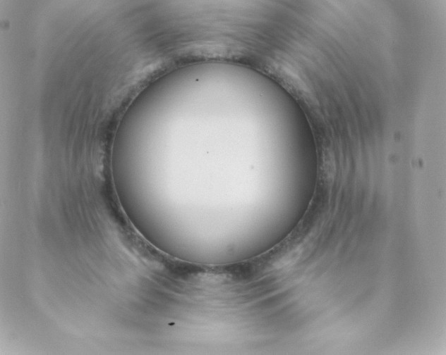 X0000088610255200706151834