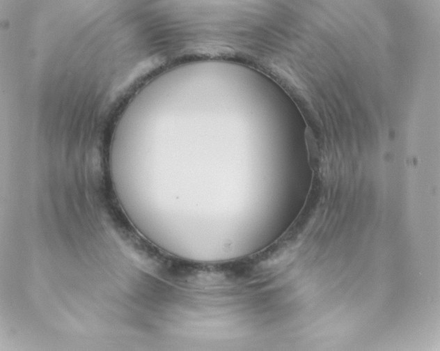 X0000088610256200706151834