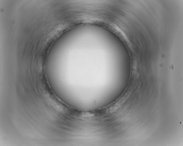 X0000088610257200706151834