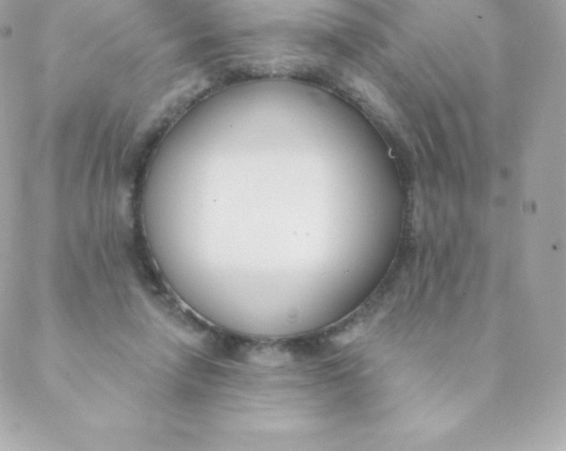 X0000088610258200706151834