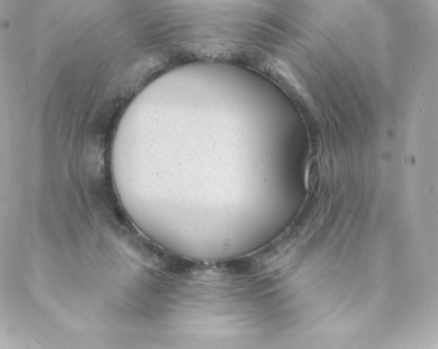 X0000088610259200706151834