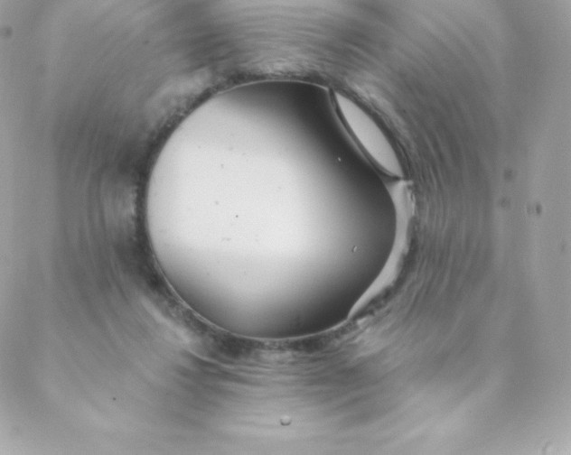 X0000088610260200706151834