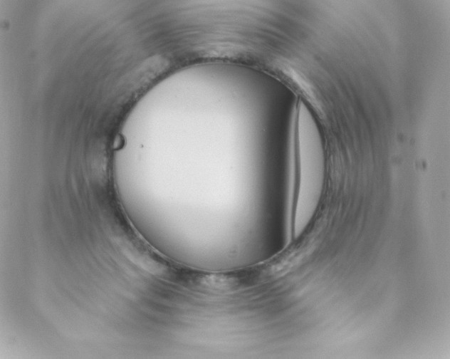 X0000088610261200706151834